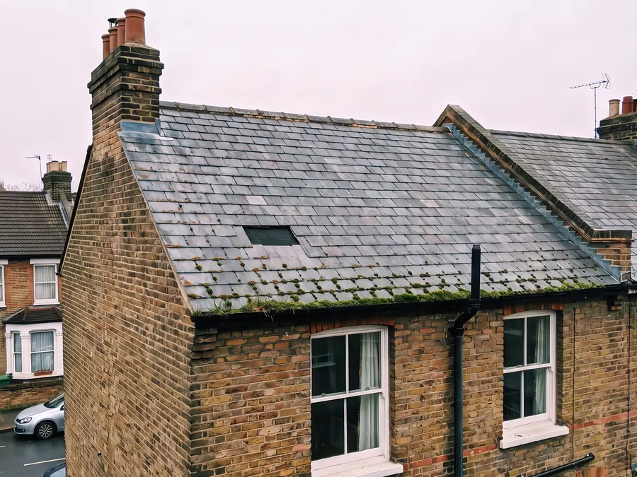 Illustration: an old slate roof with moss along the courses, missing slates and a gutter full of moss