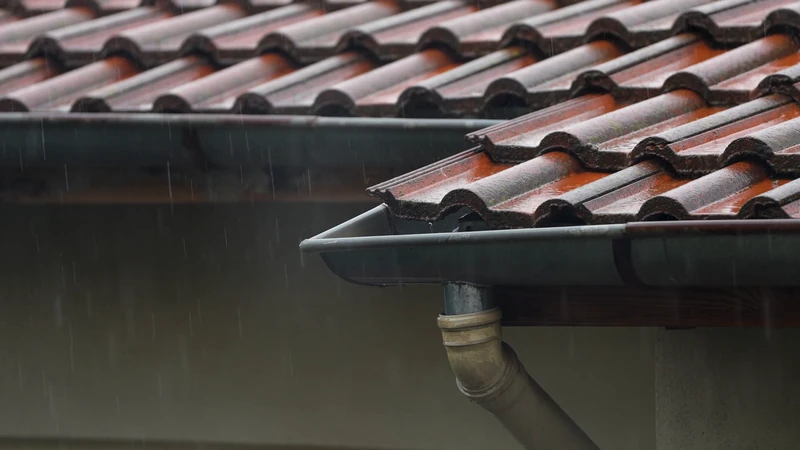 Gutters and downpipes cleared, repaired or replaced so water goes where it should.
